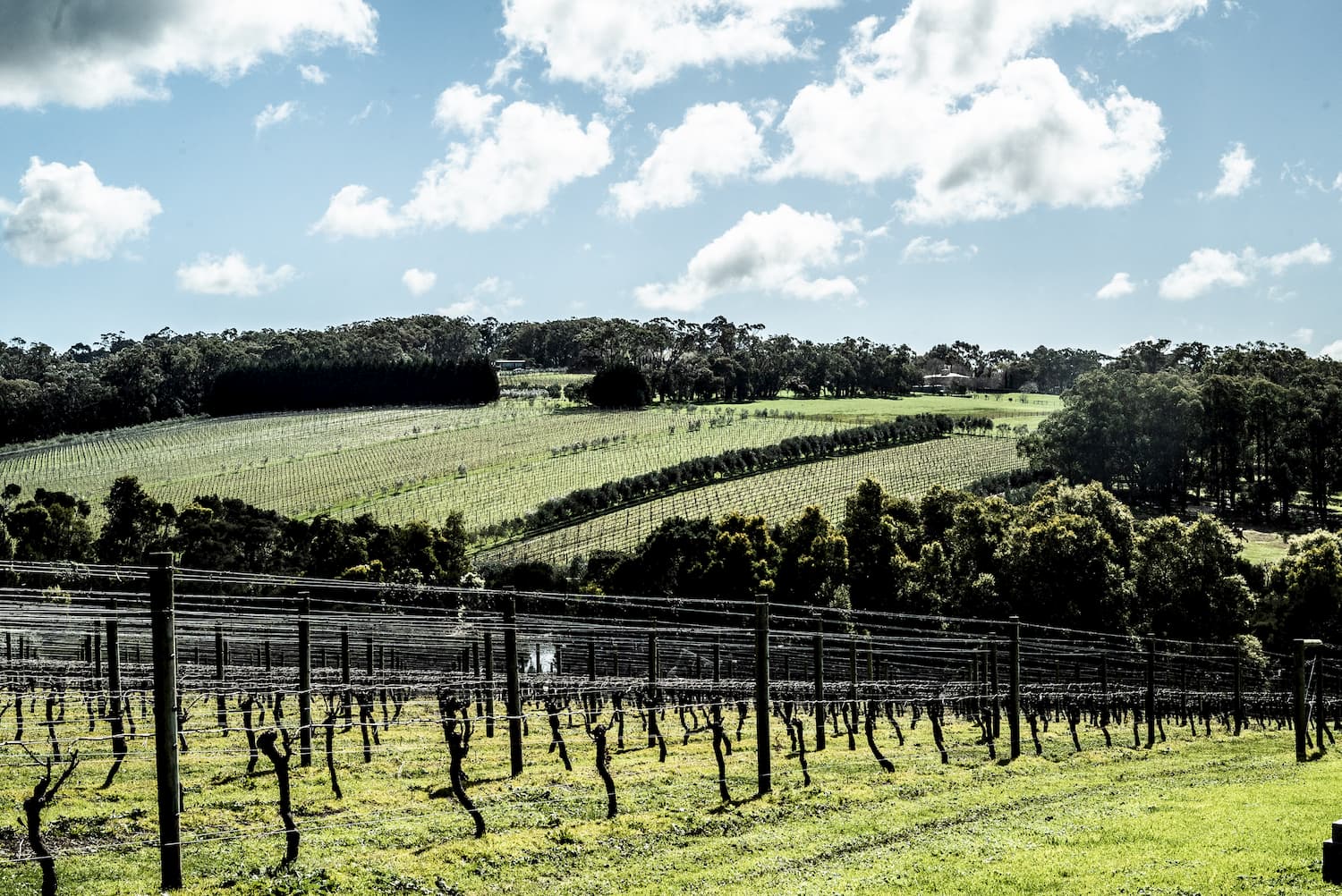 The Best Wineries on the Mornington Peninsula \ The Ninch Your Guide